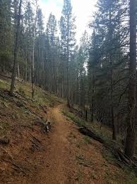 Hiking – Catamount Ranch - Limber Pine Trail