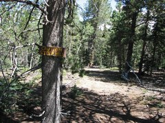 Hiking – Catamount Ranch - Raspberry Mountain Loop