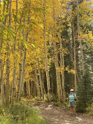 Hiking – Coal Creek Trail