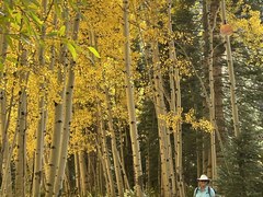 Hiking – Coal Creek Trail