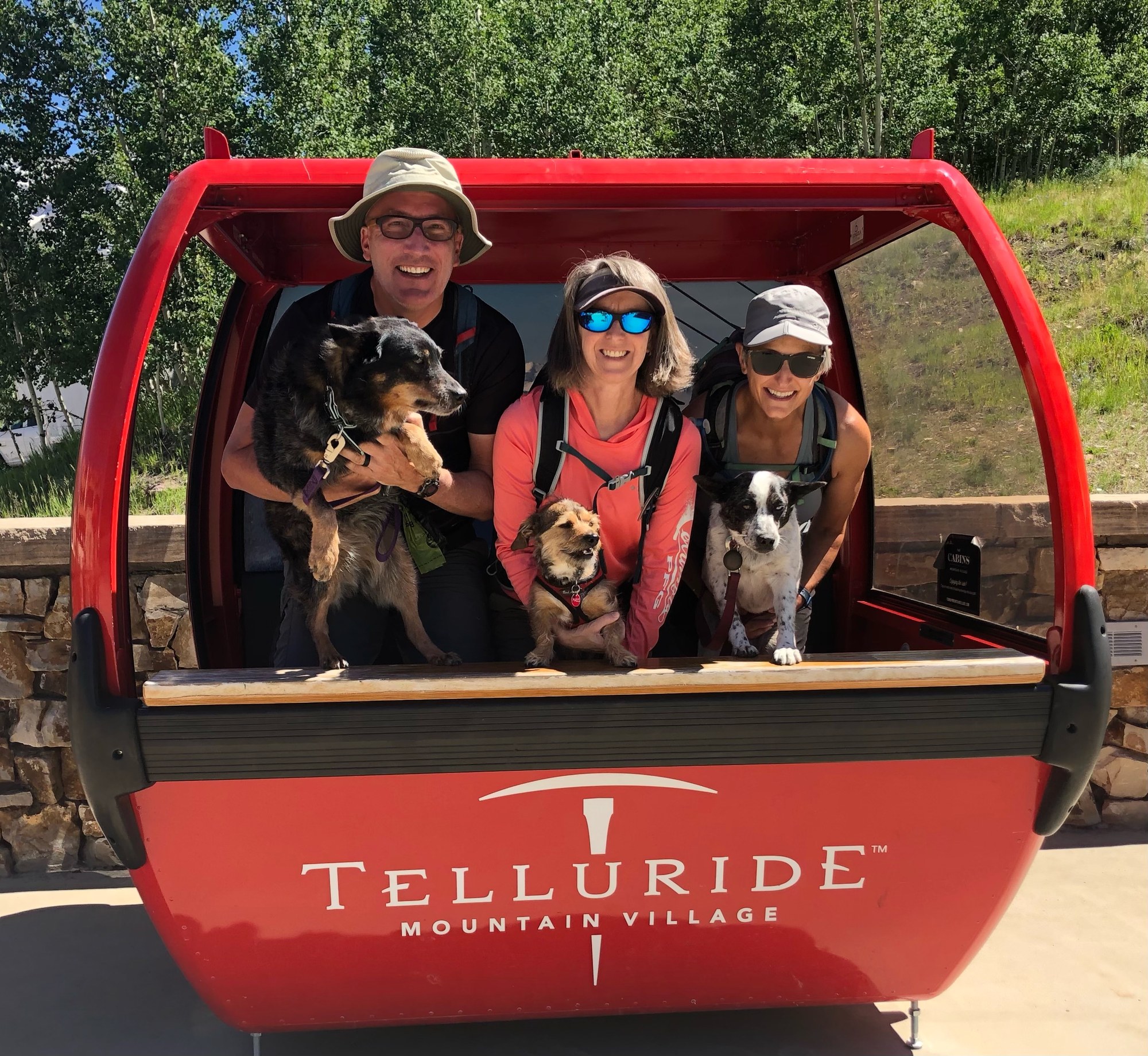 Hiking Deep Creek, dog friendly shuttle hike (Telluride) — The