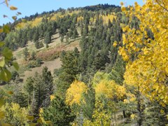 Hiking – Ditch Creek Road Hiking – Ditch Creek Road