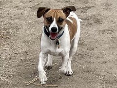 Hiking – East West Regional Trail