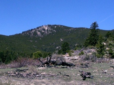 Hiking – Elk Meadow Park