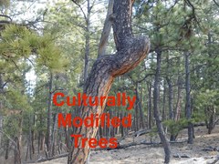 Hiking – Fox Run Regional Park