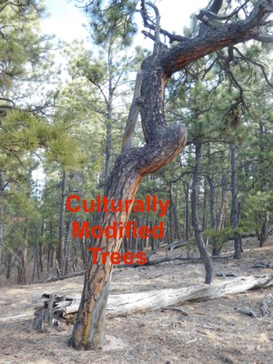 Hiking – Fox Run Regional Park