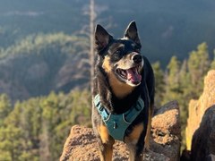 Hiking – Gateway Mesa Open Space - Chuck's Loop and Legacy Trail