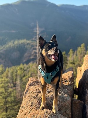 Hiking – Gateway Mesa Open Space - Chuck's Loop and Legacy Trail