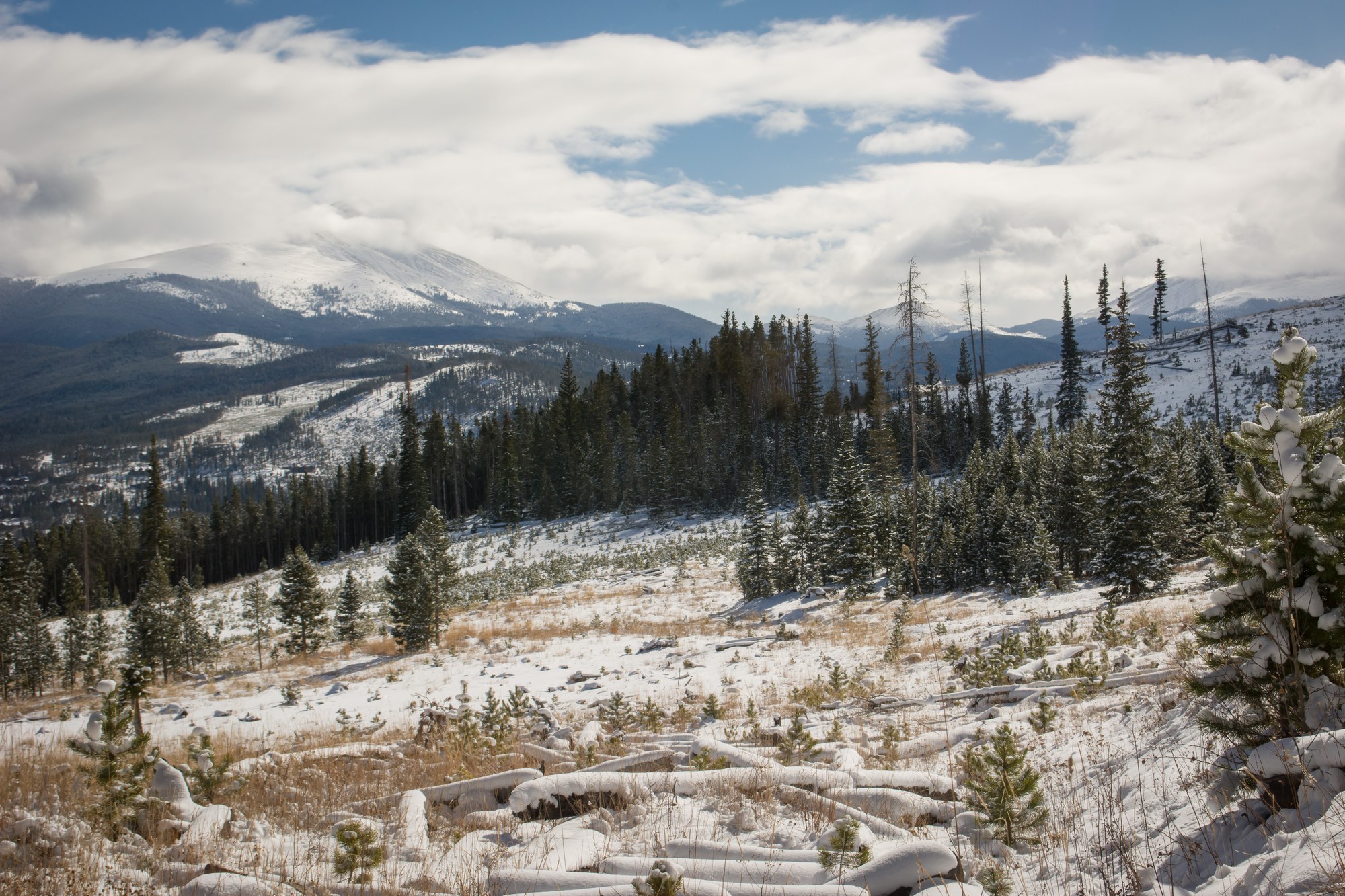 Hiking – Gold Hill Trail — The Colorado Mountain Club