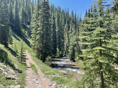 Hiking – Grand Mesa Hiking – Grand Mesa