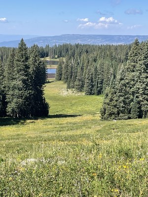 Hiking – Grand Mesa - Anderson Reservoir