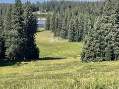 Hiking – Grand Mesa - Anderson Reservoir