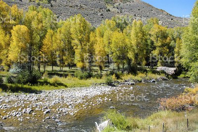 Hiking – Little Cimarron river in the Uncompahgre Forest & wilderness. Hiking – Little Cimarron river in the Uncompahgre Forest & wilderness.