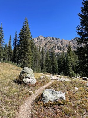 Hiking – Bighorn Creek Trail