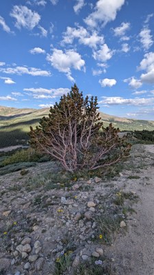 Hiking – Hoosier Pass