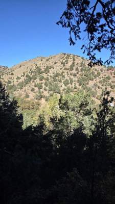 Hiking – Intemann Trail