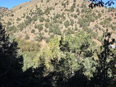 Hiking – Intemann Trail