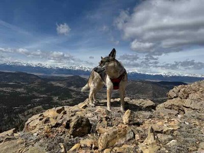 Hiking – Kaufman Ridge HP and Kaufman Ridge North