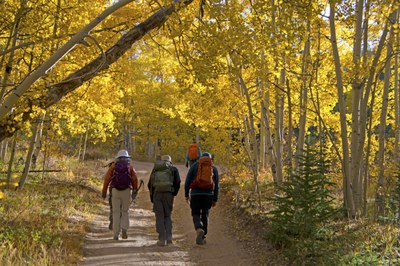 Hiking – Kenosha Pass East Hiking – Kenosha Pass East