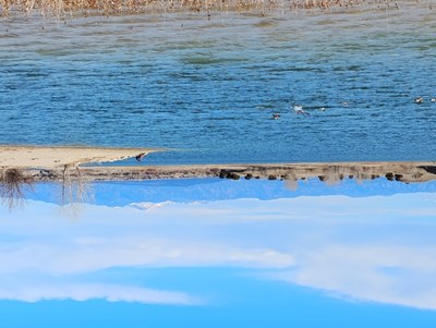 Hiking – Lake Pueblo State Park