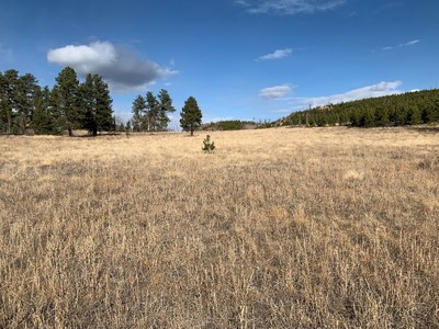 Hiking – Lion Gulch Trail Hiking – Lion Gulch Trail