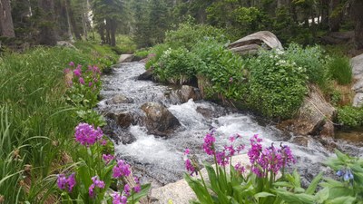 Hiking – CANCELED- LIT hike for Barbara Dey  in Golden Gate Canyon State Park starting at the Ralston Roost Trailhead.  We will hike up Black Bear Trail and circle around to the Horseshoe Trail traveling six miles with a 1434 elevation gain.