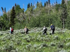 Hiking – Maryland Creek Park - Gore Range Trail