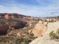 Hiking – McInnis Canyons NCA - Pollock Bench