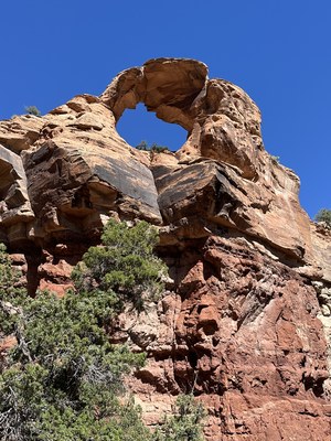 Hiking – McInnis Canyons NCA - Pollock Bench Hiking – McInnis Canyons NCA - Pollock Bench