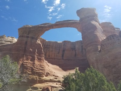 Hiking – McInnis Canyons NCA -Rattlesnake Arches Upper TH