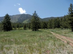 Hiking – Mount Herman