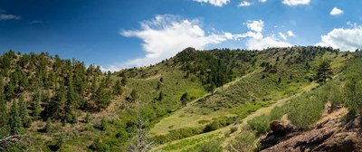 Hiking – Mt Galbraith Loop via Nightbird Gulch Trail Hiking – Mt Galbraith Loop via Nightbird Gulch Trail