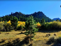 Hiking – Mt. Margaret Trail