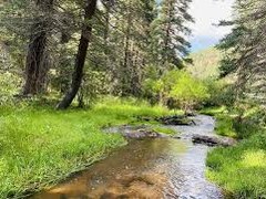 Hiking – Mule Creek Trail