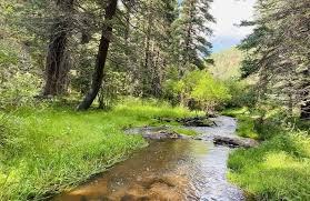 Hiking – Mule Creek Trail