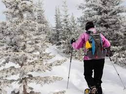 Hiking – Old Monarch Pass Hiking – Old Monarch Pass