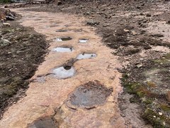 Hiking – Ouray's Silvershield Trail to the West Gold Hill Dinosaur Tracksite -- Group #1