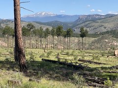 Hiking – Pine Valley Ranch