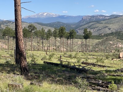 Hiking – Pine Valley Ranch