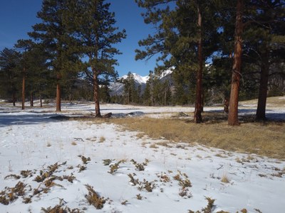 Hiking – Aspenglen Loop in RMNP Hiking – Aspenglen Loop in RMNP