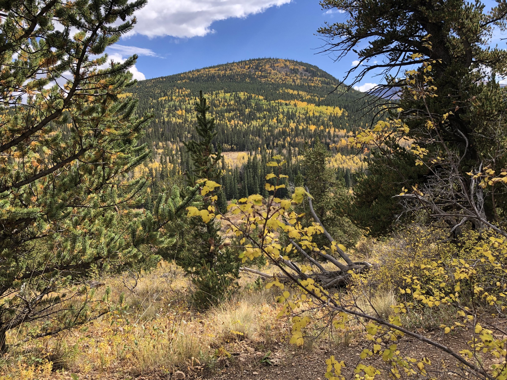 Hiking Rich Creek to Tumble Creek Trail — The Colorado Mountain Club