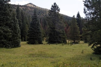 Hiking – RMNP - Colorado River Trailhead