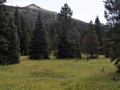 Hiking – RMNP - Colorado River Trailhead