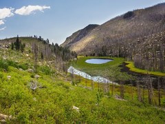 Hiking – RMNP - Cub Lake TH