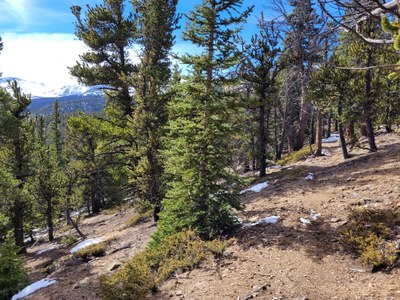 Hiking – Rolling Creek Trail