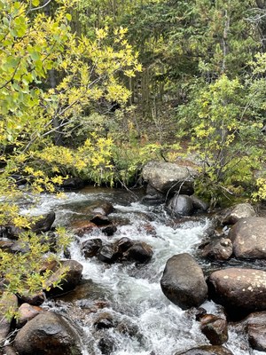 Hiking – Rosalie Trail - Guanella Pass TH Hiking – Rosalie Trail - Guanella Pass TH