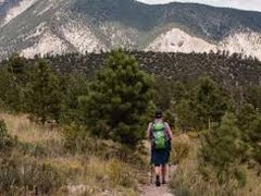 Hiking – St. Elmo to Poplar Gulch Trail