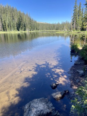 Hiking – Starting from Elliott Ridge, hike to Mahan Lake