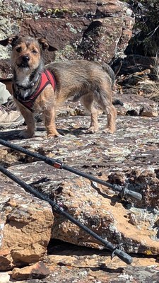 Hiking – Three Forks Trail