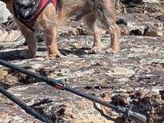 Hiking – Three Forks Trail